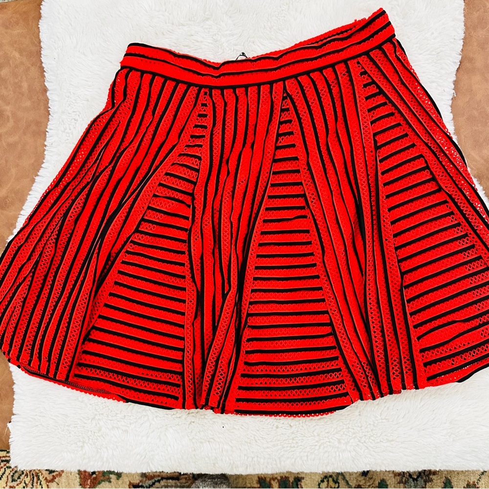 Pleated Stripe Ina A-line Skirt